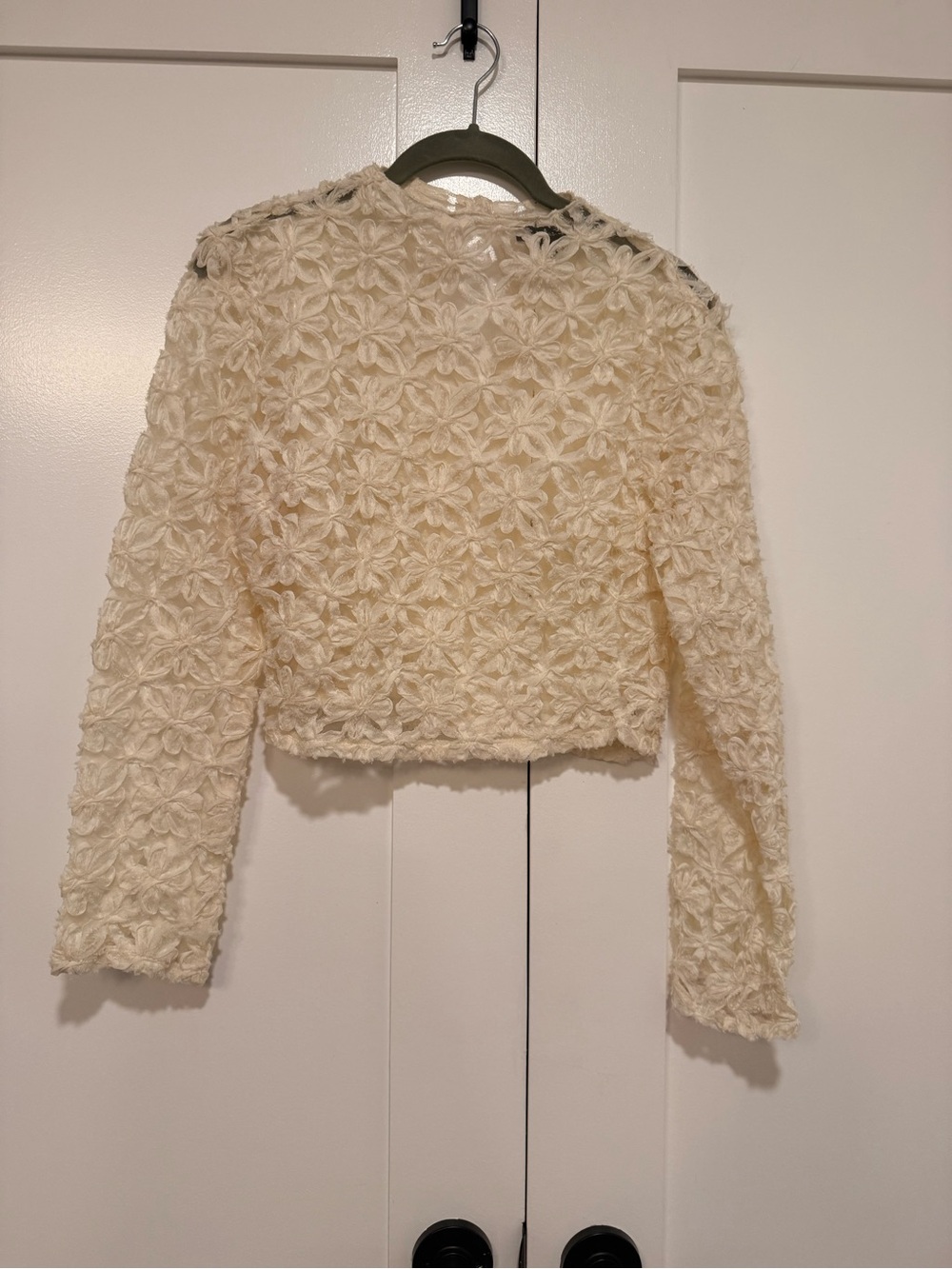 Lulu's Cream Floral Appliqué Long-Sleeve Cropped Top